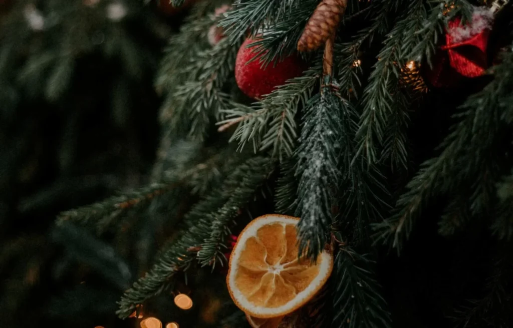 Alsyshka F4erkqWZvQE Unsplash 1536x983 1 1024x655